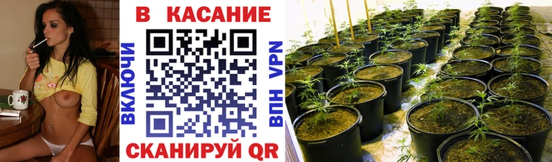 Купить закладку Азов ГАШ  Конопля  ТГК  МЕФ  A PVP 