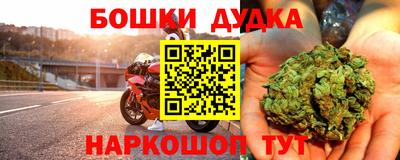 PSILOCYBIN Бугуруслан