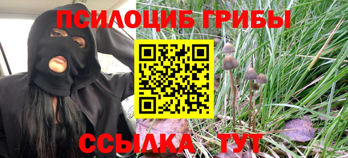 Псилоцибиновые грибы Magic Shrooms  Азов  Псилоцибиновые грибы GOLDEN TEACHER 