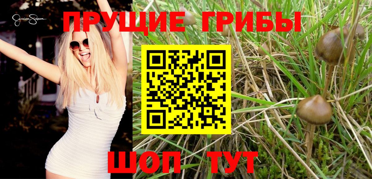 Галлюциногенные грибы мицелий Азов