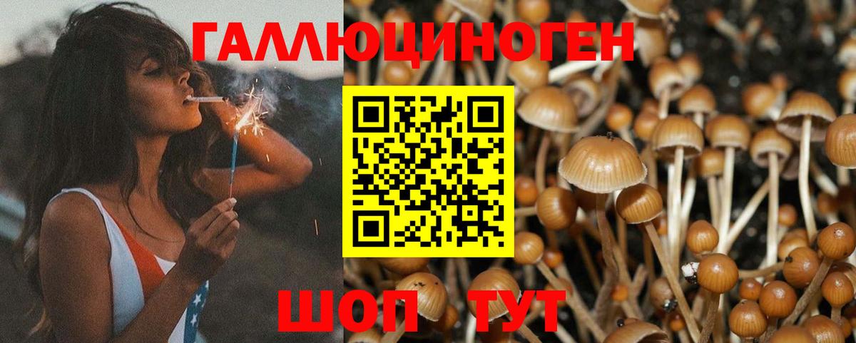 Мяу-Мяу  Бошки Шишки  LSD-25  Молли  ГАШИШ  Азов  Вход с VPN 