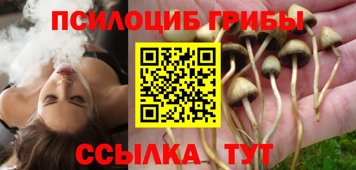 Азов  Галлюциногенные грибы прущие грибы  Псилоцибиновые грибы мицелий  Вход с VPN 