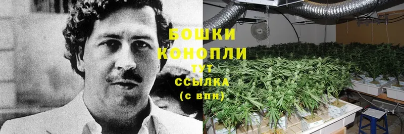 Бошки Шишки SATIVA & INDICA  где купить наркотик  Азов 